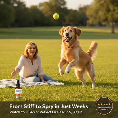 GreenPaws™ Hemp Oil Vitality Drops