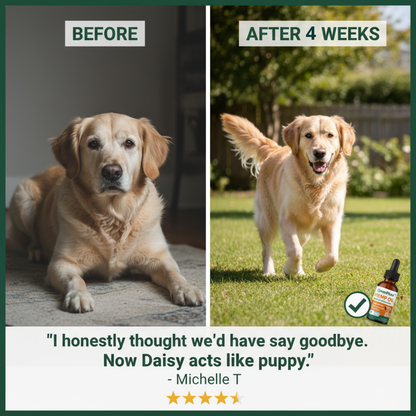 GreenPaws™ Hemp Oil Vitality Drops